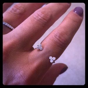 Diamond open cluster ring